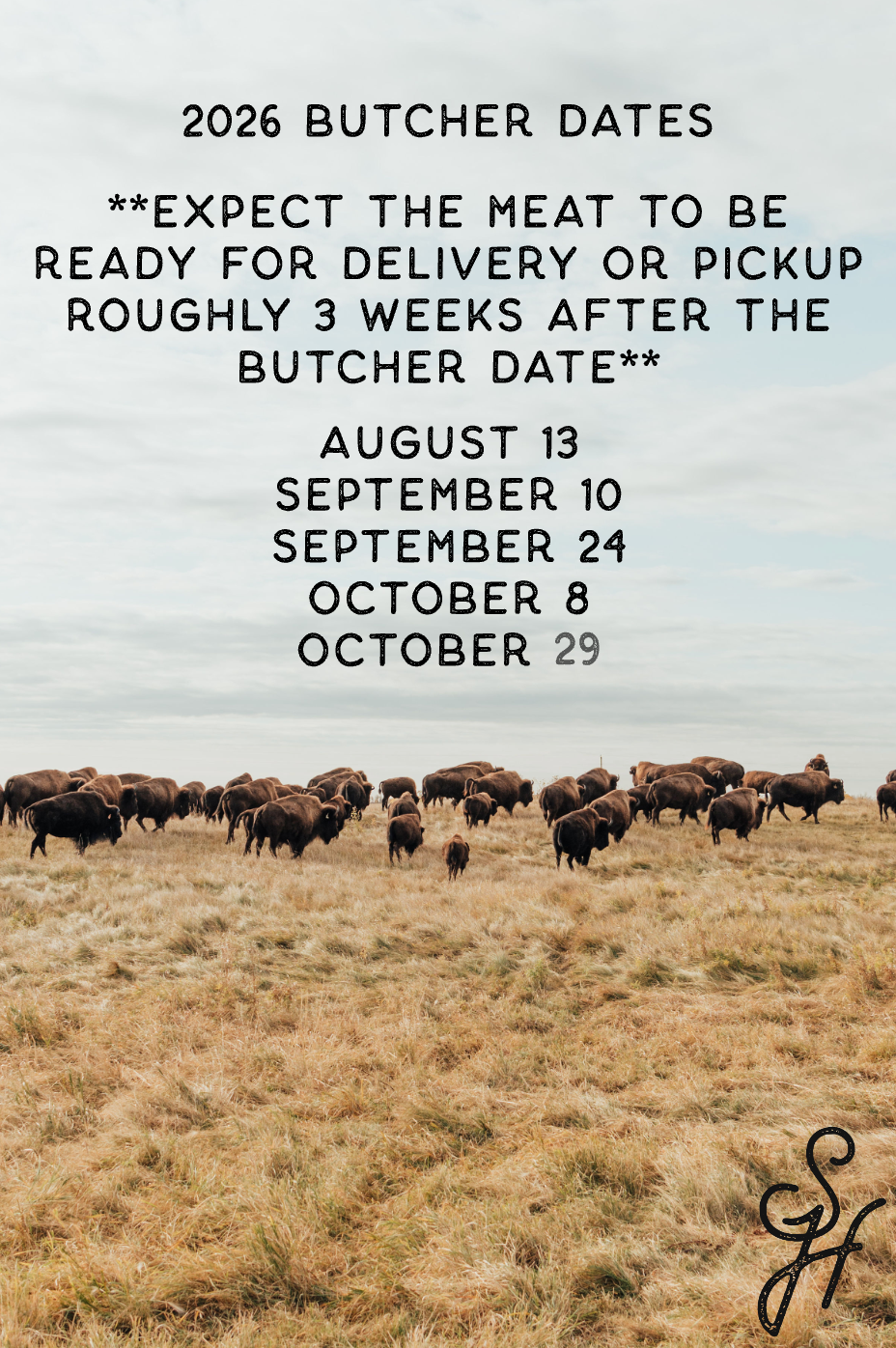 Deposit - Quarter Bison