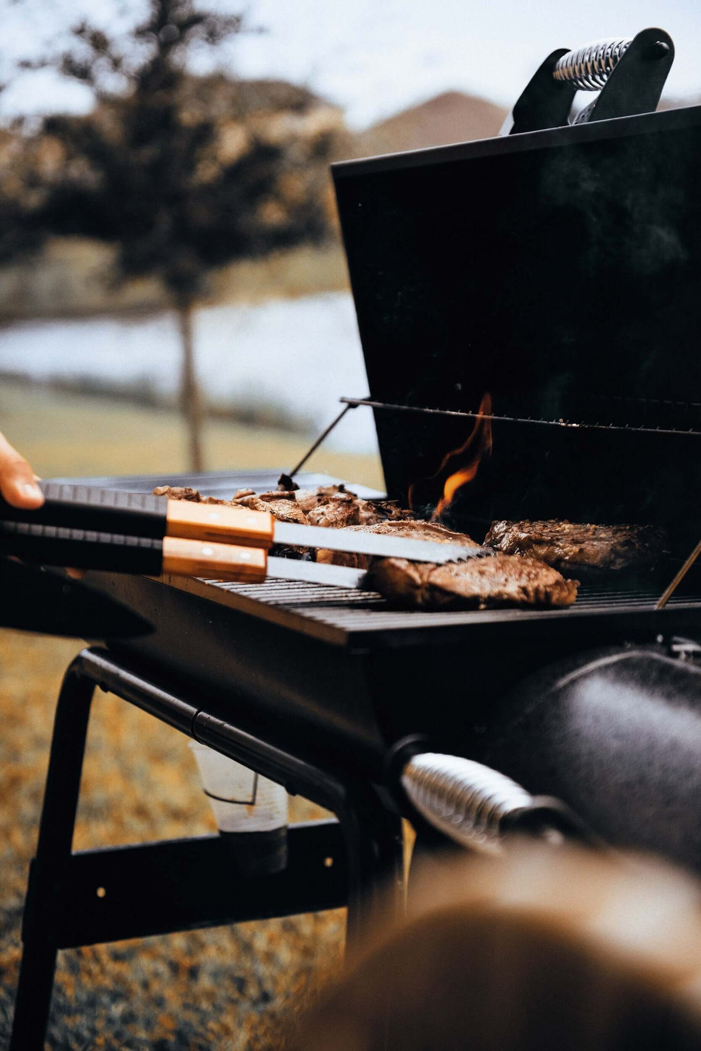 Bison Barbecue Box