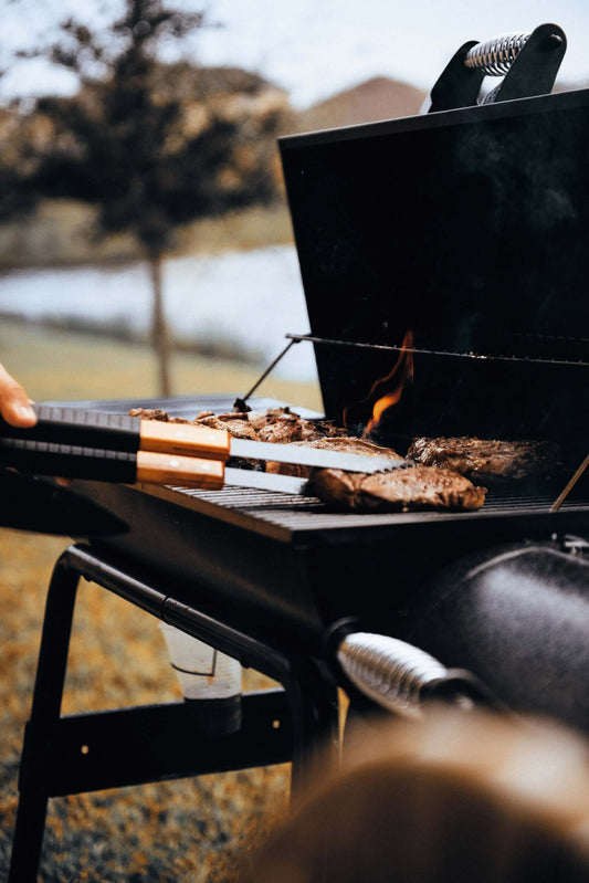 Bison Barbecue Box