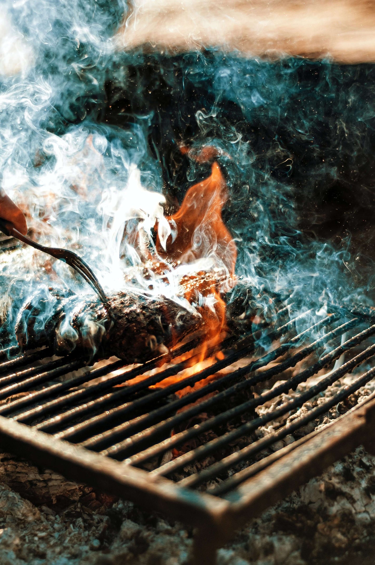 Bison Tenderloin